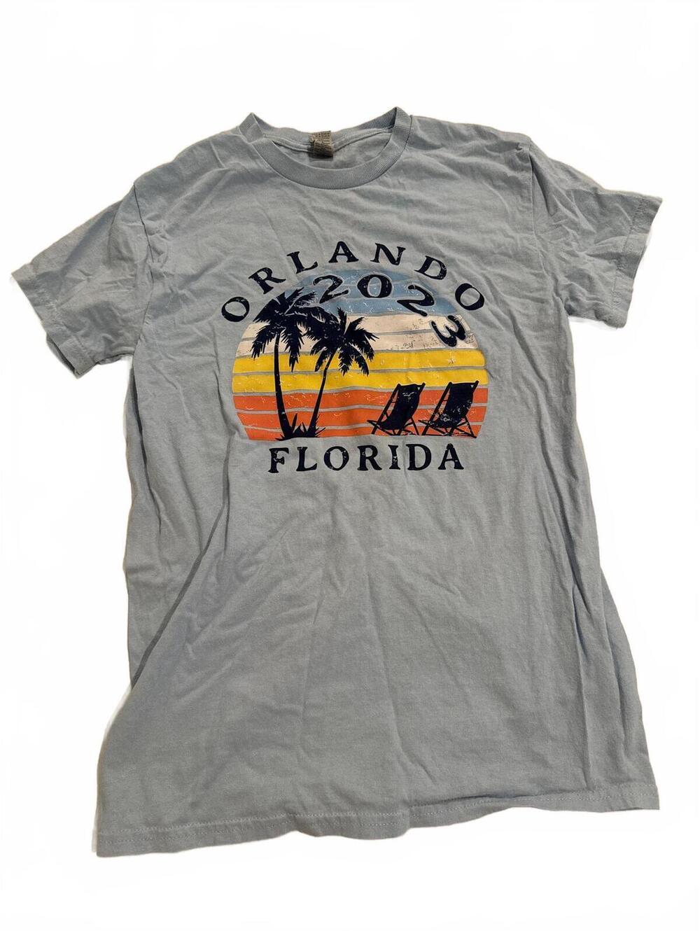 Gildan Mens Orlando Florida Graphic Tee Small
